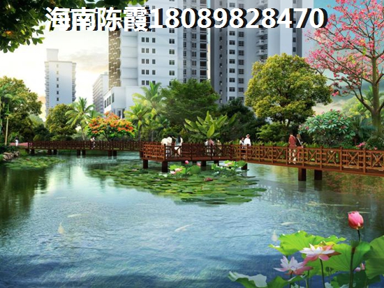 陵水买房优势和不足有哪些4
