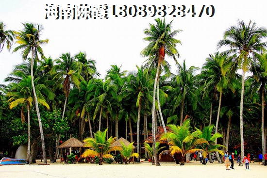 陵水土福湾房价还能不能涨