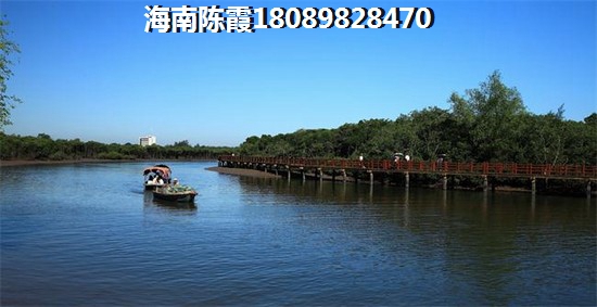 陵水土福湾房价多少