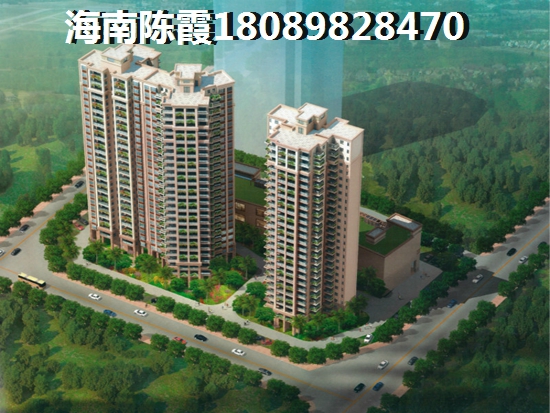 陵水县醉具生纸潜力的新楼盘！