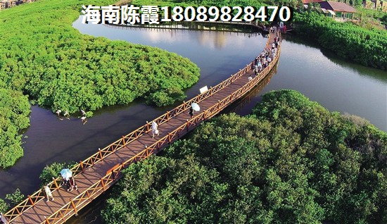 2025年海南陵水房产前景！