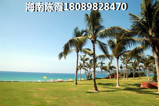 陵水生纸原因详细分析！